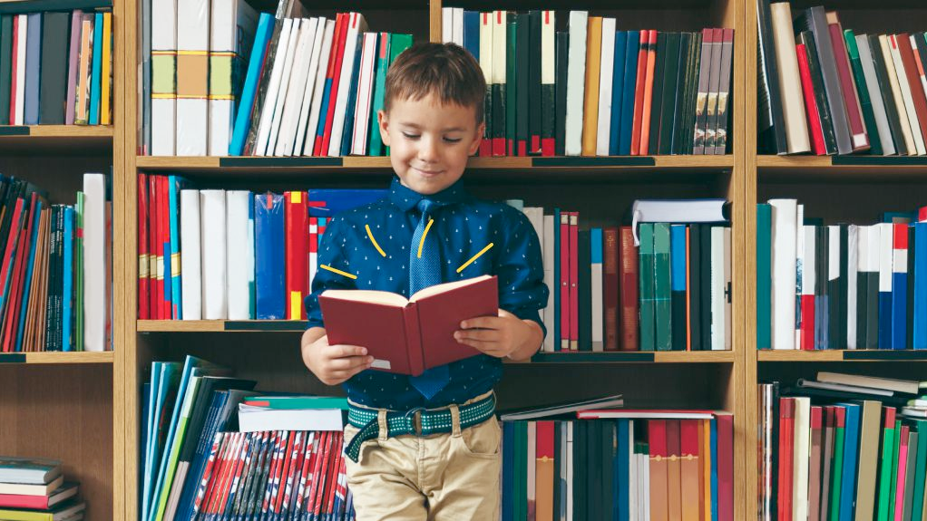 de sor roles responsibilities card thumbnail